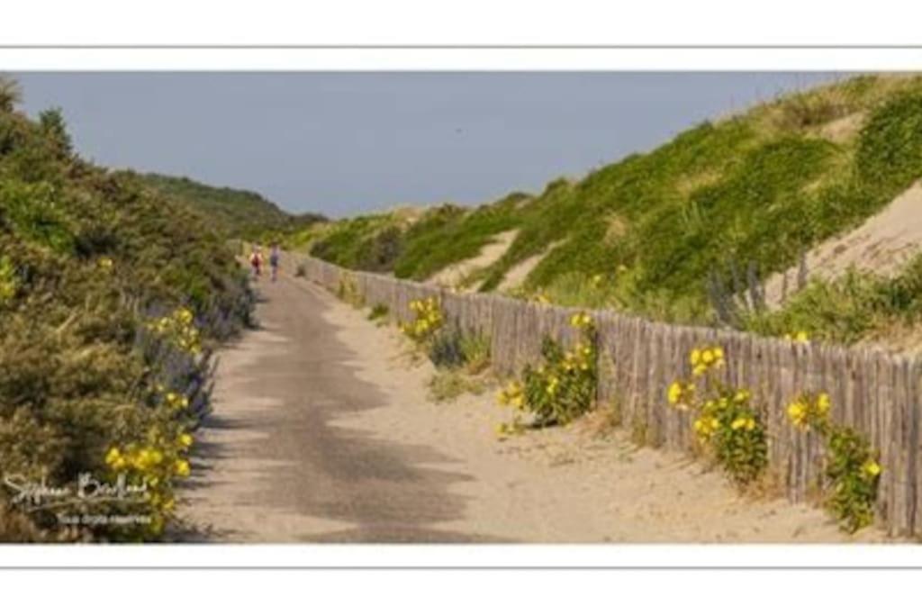 La Baigneuse Maison Avec Jardinet Et Parking Prive, A 200 M Plage Cayeux-sur-Mer Exteriér fotografie