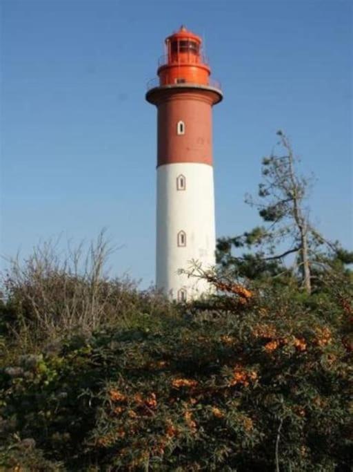 La Baigneuse Maison Avec Jardinet Et Parking Prive, A 200 M Plage Cayeux-sur-Mer Exteriér fotografie